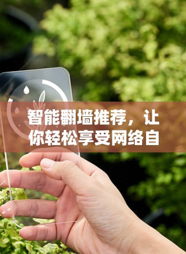 智能翻墙推荐,让你轻松享受网络自由