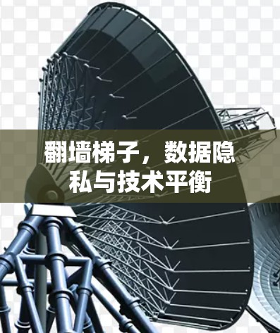 翻墙梯子，数据隐私与技术平衡