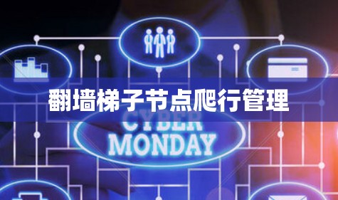 翻墙梯子节点爬行管理