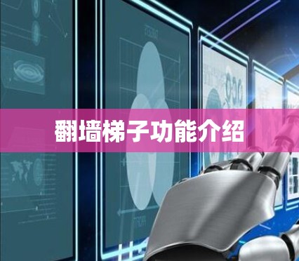翻墙梯子功能介绍