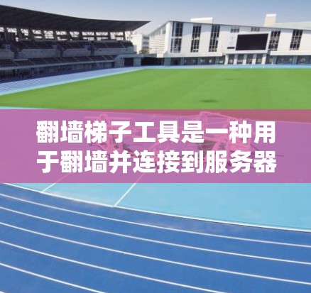 翻墙梯子工具是一种用于翻墙并连接到服务器的设备,通过特定的梯子结构来实现设备与服务器的连接。以下是对该工具的详细总结