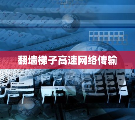 翻墙梯子高速网络传输