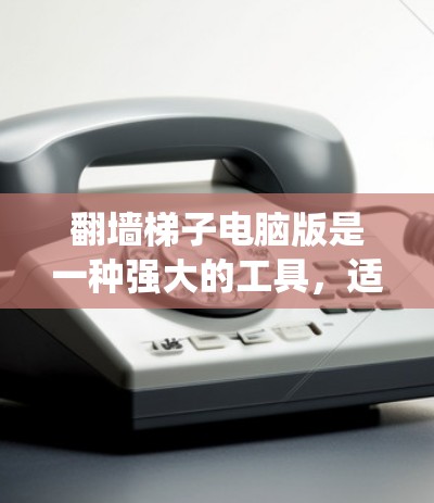 翻墙梯子电脑版是一种强大的工具,适合需要绕过防火墙和保护数据的用户。以下是对该工具的详细分析和总结