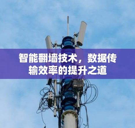智能翻墙技术,数据传输效率的提升之道