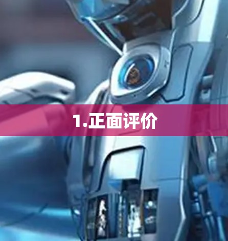 1.正面评价