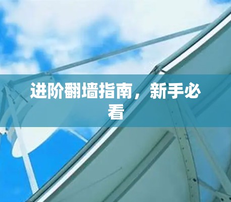进阶翻墙指南,新手必看