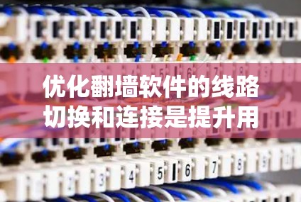 优化翻墙软件的线路切换和连接是提升用户体验的关键步骤。以下是系统性地总结和实施优化技巧