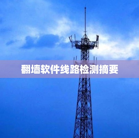 翻墙软件线路检测摘要