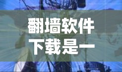翻墙软件下载是一个非常实用的工具,可以帮助你在没有物理墙的情况下访问网络。以下是一些常见的翻墙软件下载网站和推荐资源,供你参考