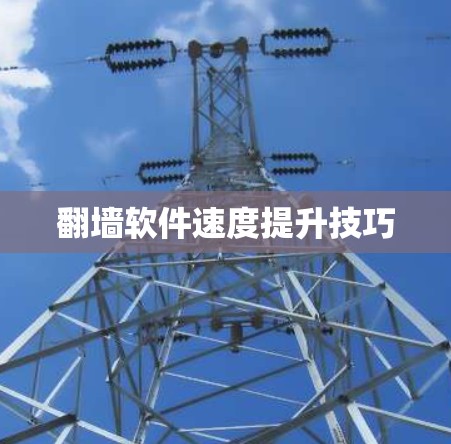翻墙软件速度提升技巧