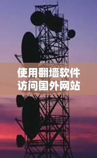 使用翻墙软件访问国外网站的步骤如下