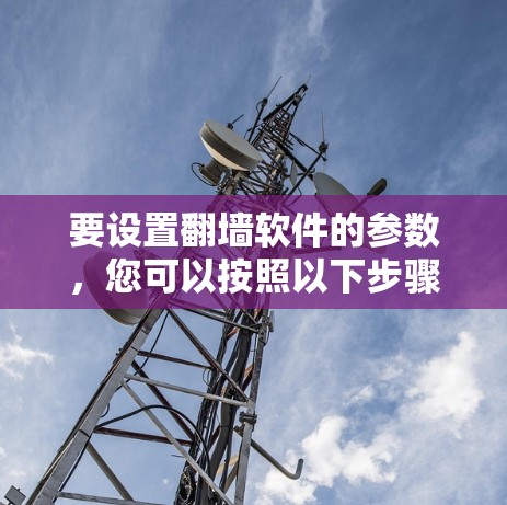 要设置翻墙软件的参数，您可以按照以下步骤进行操作