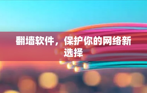 翻墙软件,保护你的网络新选择