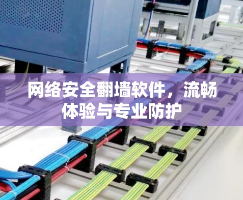 网络安全翻墙软件,流畅体验与专业防护 网络安全翻墙软件,流畅体验与专业防护