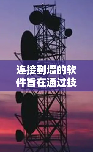 连接到墙的软件旨在通过技术手段访问和管理政府网络控制中心（墙）上的资源，如网页和服务器，以防止非法内容的传播。以下是对这些软件的详细分析
