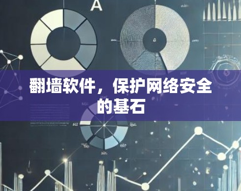 翻墙软件,保护网络安全的基石