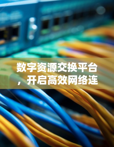 数字资源交换平台，开启高效网络连接
