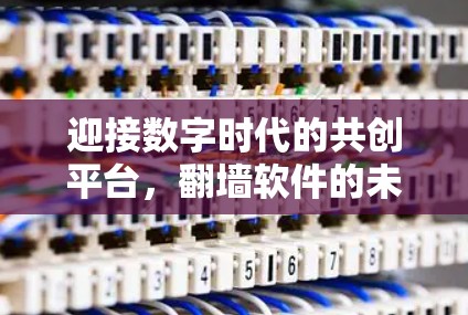 迎接数字时代的共创平台,翻墙软件的未来