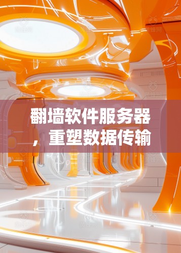 翻墙软件服务器，重塑数据传输格局，引领网络价值转移