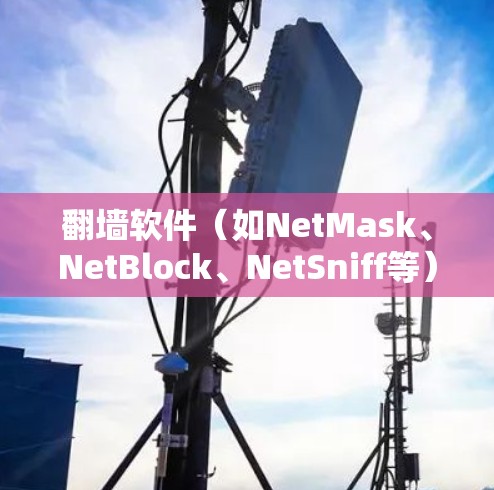 翻墙软件（如NetMask、NetBlock、NetSniff等）主要用于阻挡外部网络进入目标内网。以下是一些常见的操作说明，涵盖安装、配置、使用以及安全注意事项