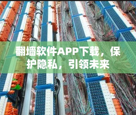 翻墙软件APP下载,保护隐私,引领未来 翻墙软件APP下载,保护隐私,引领未来