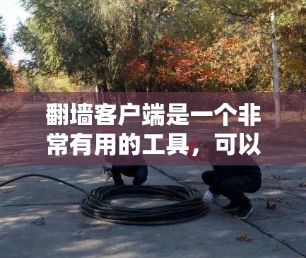 翻墙客户端是一个非常有用的工具,可以帮助您访问一些被禁用或需要特定密码访问的网站。以下是使用翻墙客户端的详细步骤 翻墙客户端是一个非常有用的工具,可以帮助您访问一些被禁用或需要特定密码访问的网站。以下是使用翻墙客户端的详细步骤