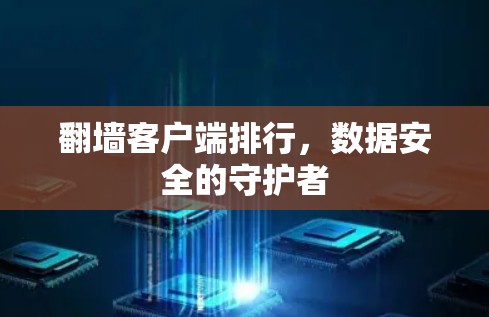 翻墙客户端排行,数据安全的守护者