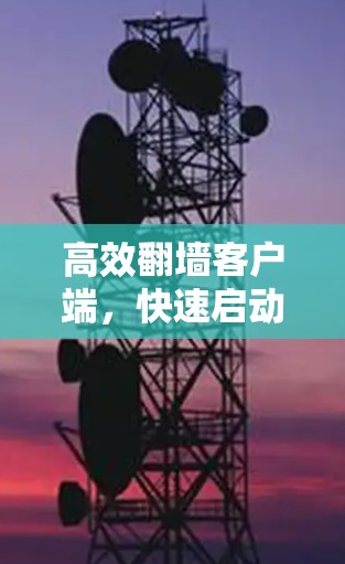 高效翻墙客户端,快速启动,轻松搞定网络连接