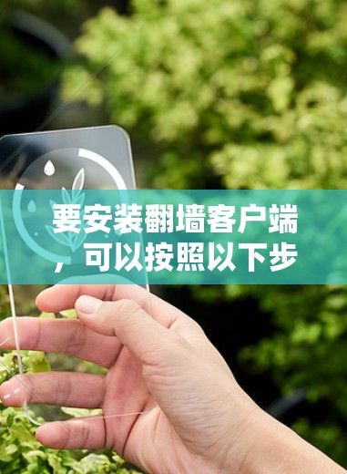 要安装翻墙客户端,可以按照以下步骤进行
