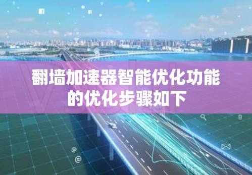 翻墙加速器智能优化功能的优化步骤如下