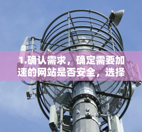 1.确认需求,确定需要加速的网站是否安全,选择合适的加速器和参数