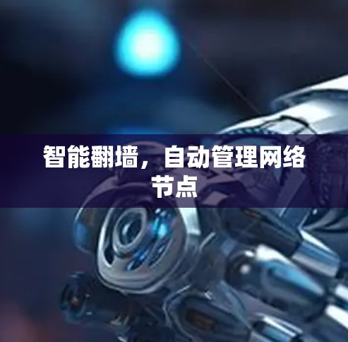 智能翻墙,自动管理网络节点