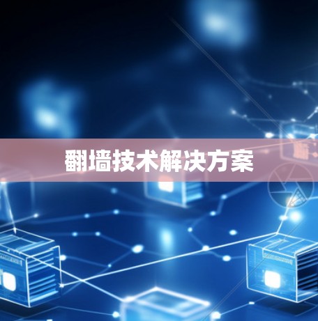 翻墙技术解决方案 翻墙技术解决方案