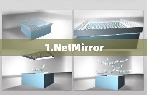 1.NetMirror