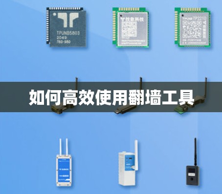 如何高效使用翻墙工具