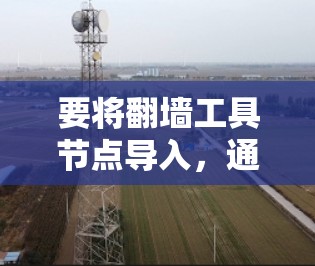要将翻墙工具节点导入,通常需要按照以下步骤进行操作。以下是一般性的指导,具体操作可能会因使用的翻墙工具而有所不同