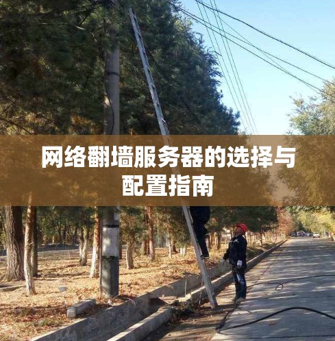 网络翻墙服务器的选择与配置指南
