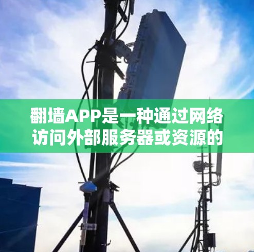 翻墙APP是一种通过网络访问外部服务器或资源的工具。以下是详细的步骤和建议
