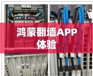 鸿蒙翻墙APP体验 鸿蒙翻墙APP体验