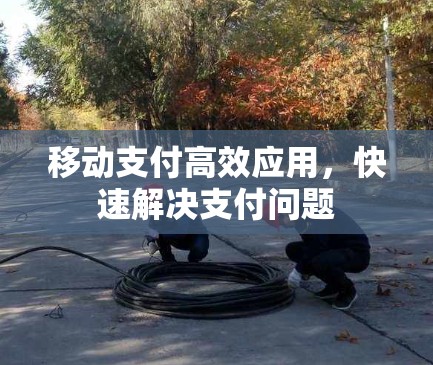移动支付高效应用,快速解决支付问题