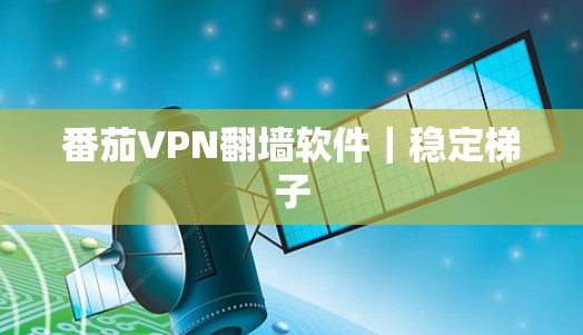 番茄VPN翻墙软件｜稳定梯子