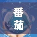 番茄电脑版VPN电脑版下载详细指南