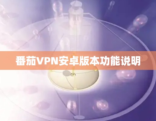 番茄VPN安卓版本功能说明