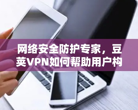 网络安全防护专家,豆荚VPN如何帮助用户构建安全的网络环境