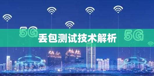 丢包测试技术解析