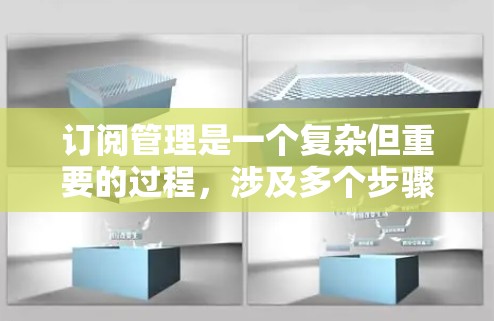 订阅管理是一个复杂但重要的过程,涉及多个步骤和参数。以下是对订阅管理的详细步骤和建议