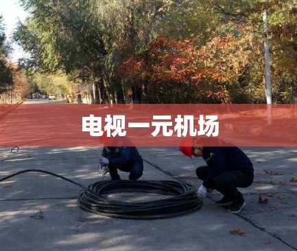 电视一元机场