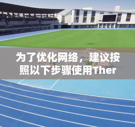 为了优化网络，建议按照以下步骤使用Thereoseer工具