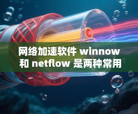 网络加速软件 winnow 和 netflow 是两种常用的工具,分别适用于不同的用户需求。以下是对它们的详细配置方法