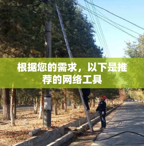 根据您的需求,以下是推荐的网络工具